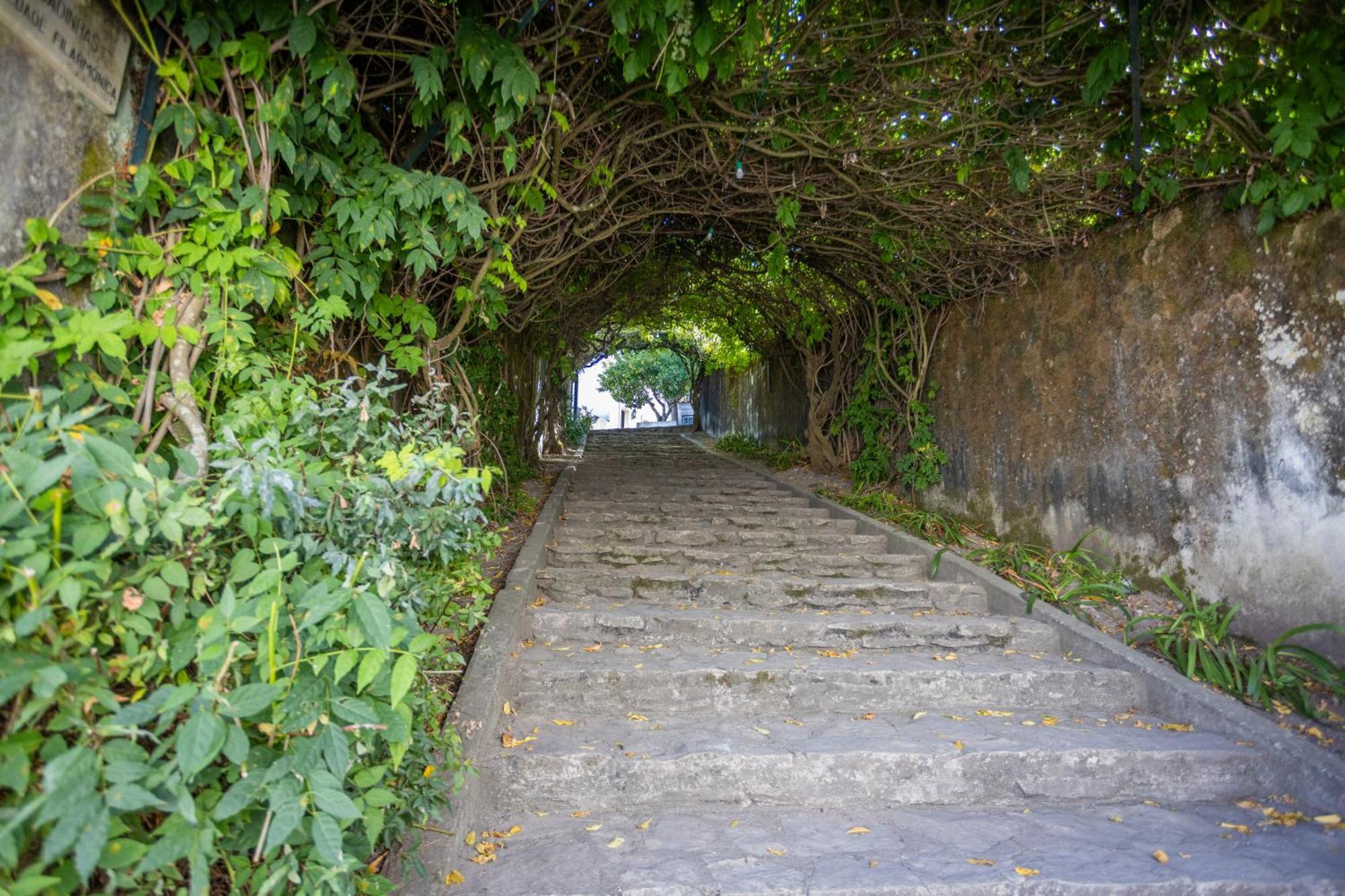 Pousada De Ourem - Fatima Bagian luar foto